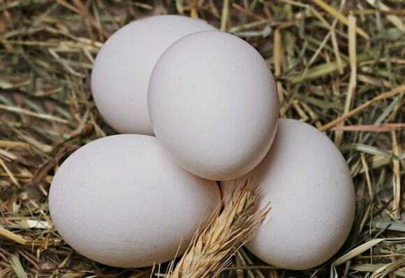 Kiaušinių dieta apima vištienos kiaušinių valgymą kasdien. 